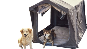 Pet Accessories