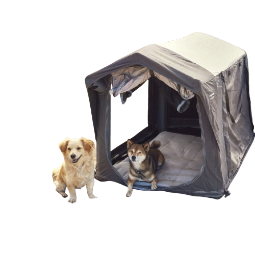 Pet Accessories