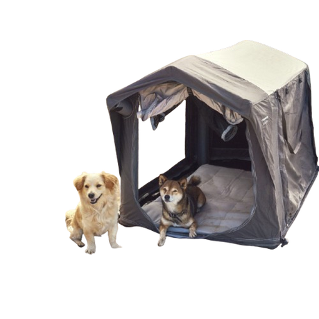 Pet Accessories