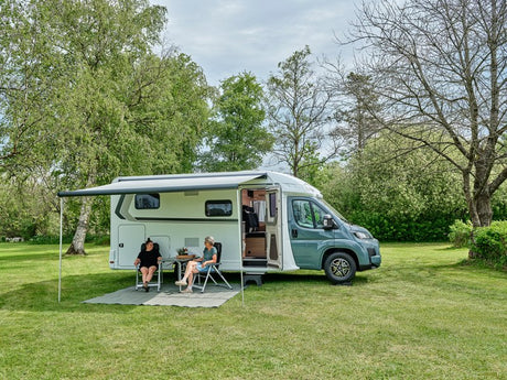 Isabella Canopy Carpet 2.5 x 3.9 Isabella