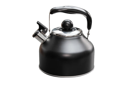 Induction Hob Whistling Kettle 2.2L Outdoor Revoultion