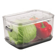 LARGE PRODUCE KEEPER Stow Green